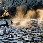 Vannoy Sport Og Havfiske Alojamento de Turismo Selvagem Vannvag