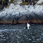 Vannoy Sport Og Havfiske Vannvag