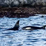 Alojamento de Turismo Selvagem Vannoy Sport Og Havfiske
