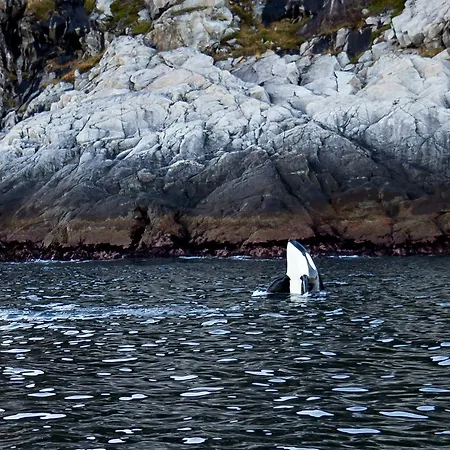 Vannoy Sport Og Havfiske Vannvag