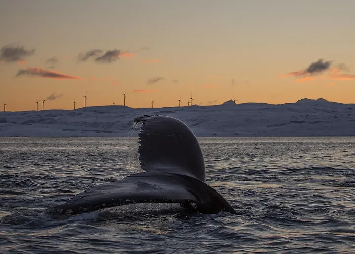 Vannoy Sport Og Havfiske * Vannvåg