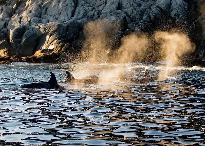 Vannoy Sport Og Havfiske Lodge Vannvåg
