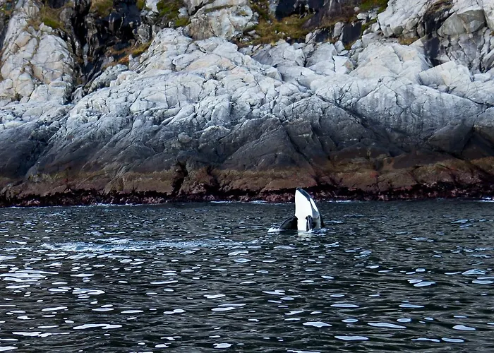 Vannoy Sport Og Havfiske Vannvåg