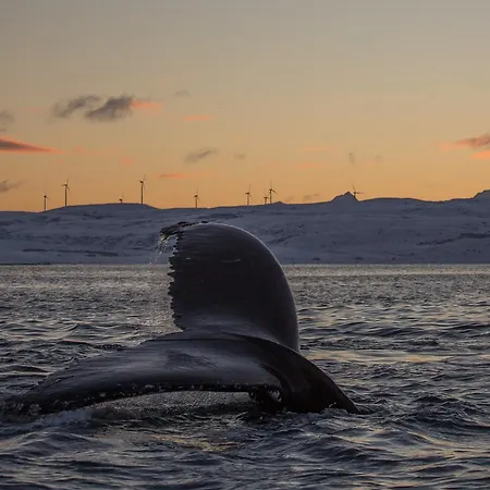 Vannoy Sport Og Havfiske * Vannvåg