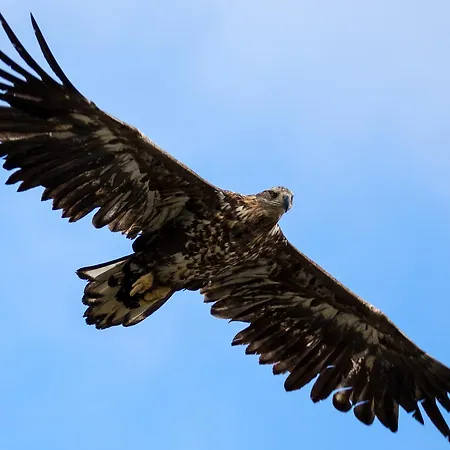 Vannoy Sport Og Havfiske Vannvåg