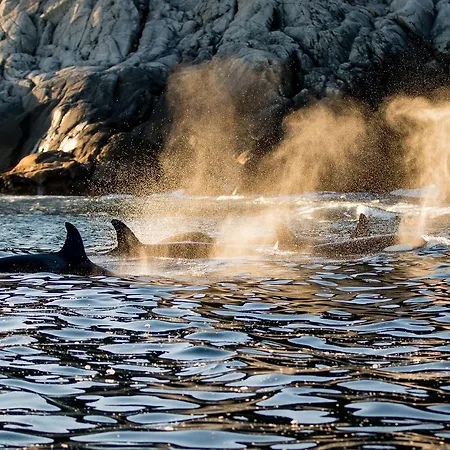 Vannoy Sport Og Havfiske Lodge Vannvåg