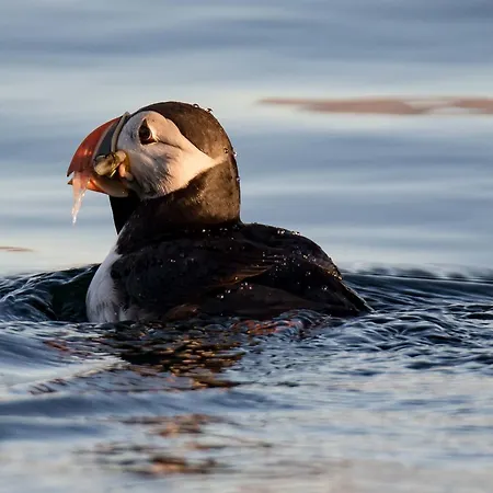 Vannoy Sport Og Havfiske Lodge Vannvåg