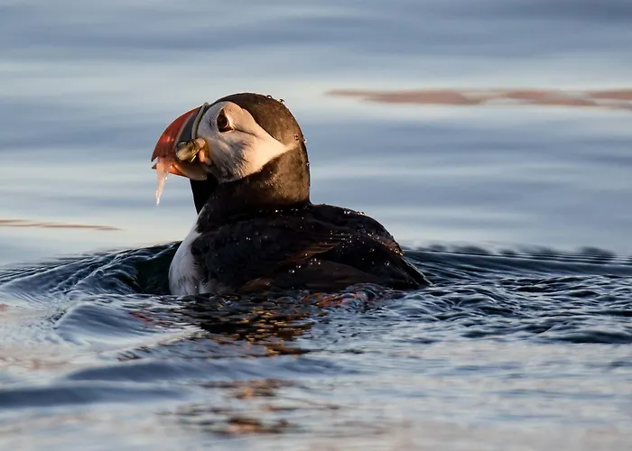 Vannoy Sport Og Havfiske Alojamento de Turismo Selvagem Vannvag